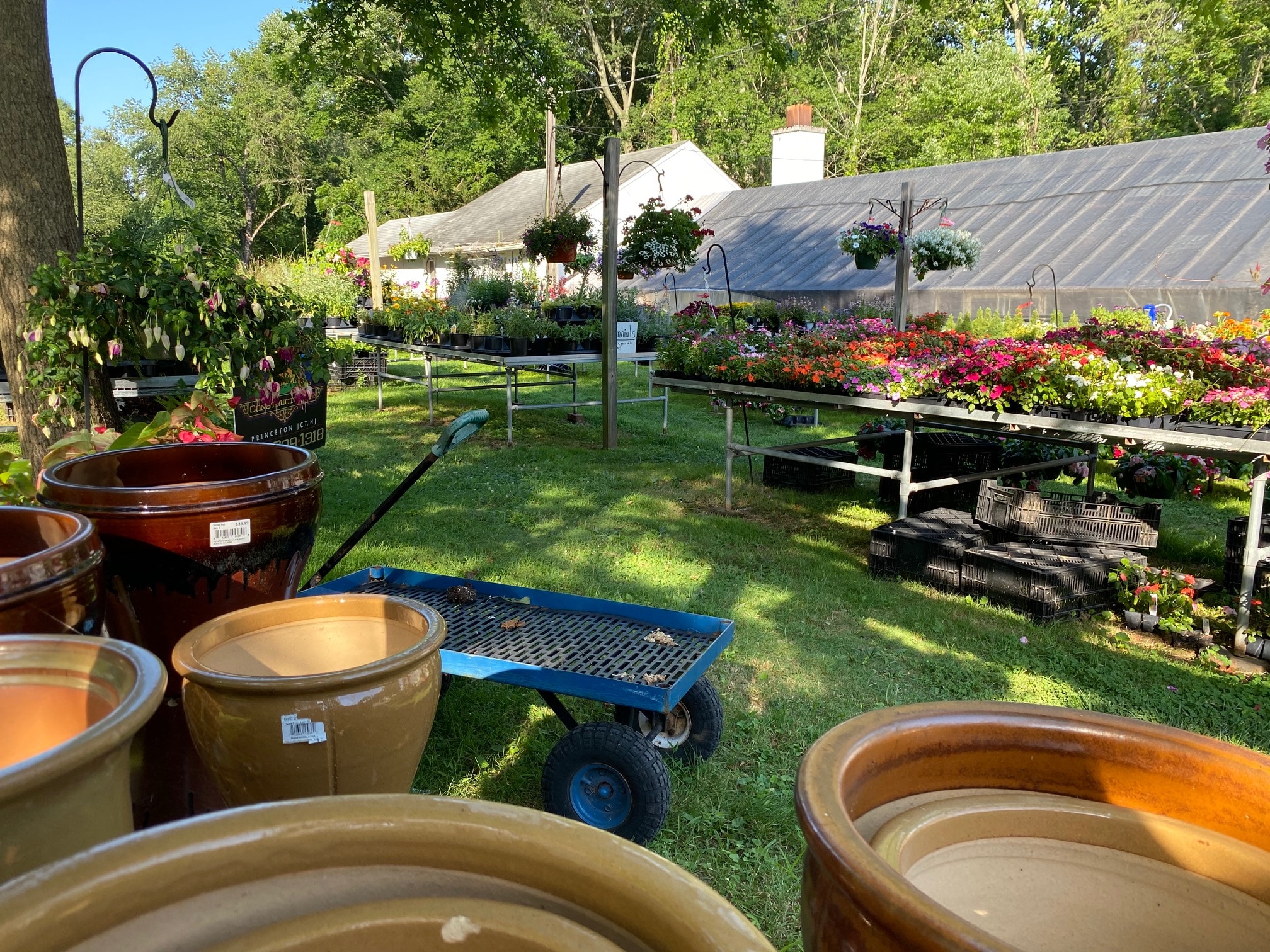 About Perna's Plant and Flower Shop Lawrenceville, Princeton, NJ Florist